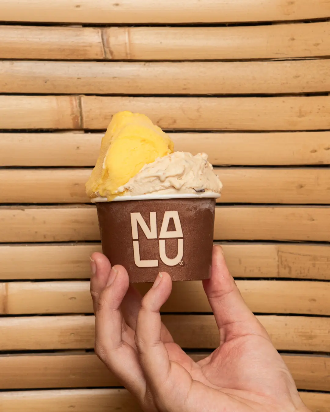 Gelato Near Me Bali – Nalu Gelato Artisan Gelato Cup